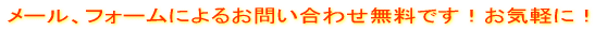 タロット占いラーヤ